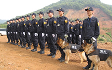 犬防护卫队